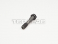 正式Sinotruk® -Conectando de Rod Bolt -De Motor Para Sinotruk Howo WD615系列电动机Peça：VG1246030013